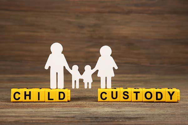 Child Custody & Family-Related Cases